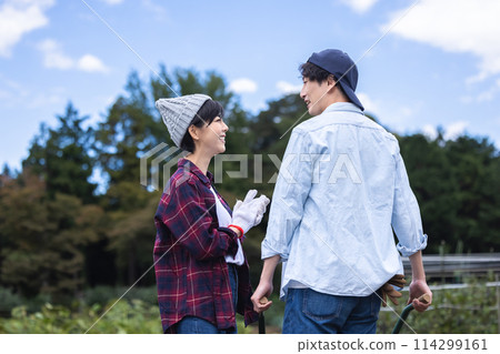 男人和女人在田裡收穫蔬菜 114299161