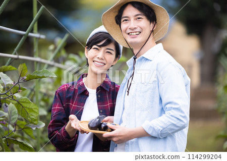 Men and women harvesting vegetables in the field Men and women harvesting vegetables in the field 114299204