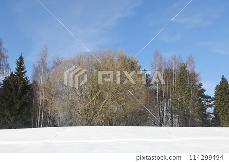 river on a sunny evening. Trees and shrubs. Landscape of winter nature, river banks  114299494