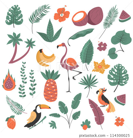 Tropical plants and birds, exotic flora and fauna 114300025