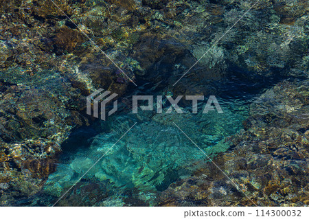 Okinawa Prefecture Miyakojima City Island Heaven Summer Vacation Morning Clouds Panari Reef Heianazaki Lighthouse Coral Reef East Heianazaki Fish Okinawa Prefecture Miyakojima City Island Heaven Summer Vacation Morning Clouds Panari Reef Heianazaki Lighthouse Coral Reef East Heianazaki Fish 114300032