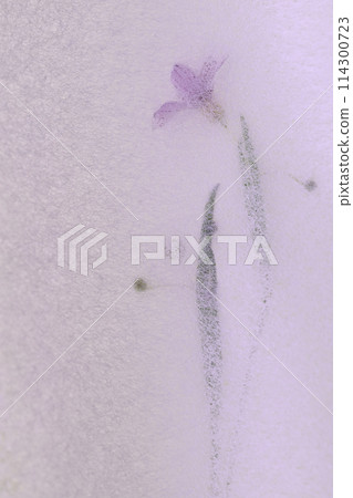 日本紙與庭絕所的合作(背景資料) 日本紙與庭絕所的合作(背景資料) 114300723