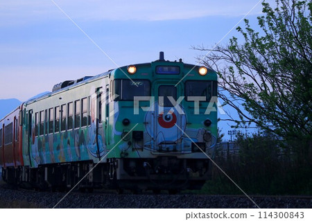 Eye ball Oyaji train 114300843