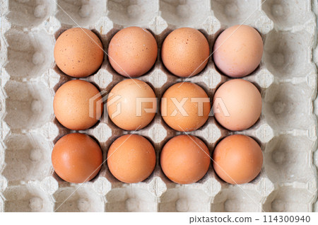 Square pallet for recycling chicken eggs with red chicken eggs. View from above 114300940