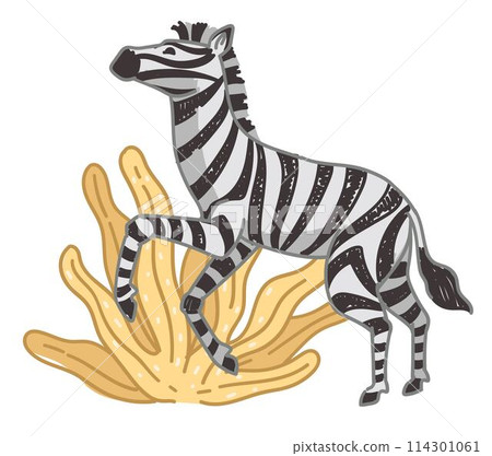 Zebra on field, mammal with stripped fur on coat 114301061