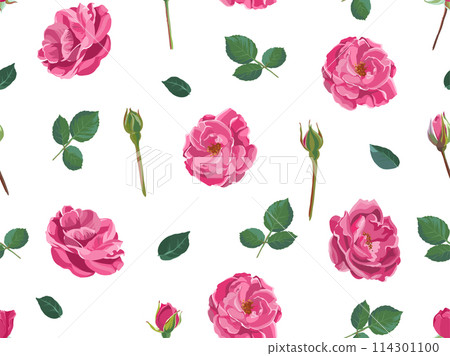 Roses or peonies, stems and leaves pattern print 114301100