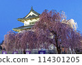 櫻花在弘前 114301205