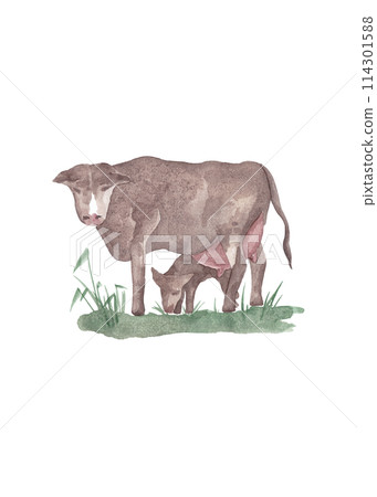 Cow with calf on the lawn. Countryside. Watercolor sketch for your design. Abstract colorful advertising concept. Summer isolated illustration. Modern Art 114301588