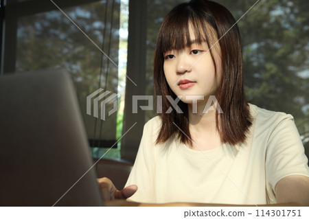 Working On Laptop Working On Laptop 114301751