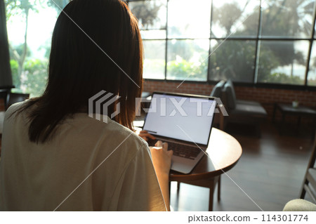 Working On Laptop 114301774