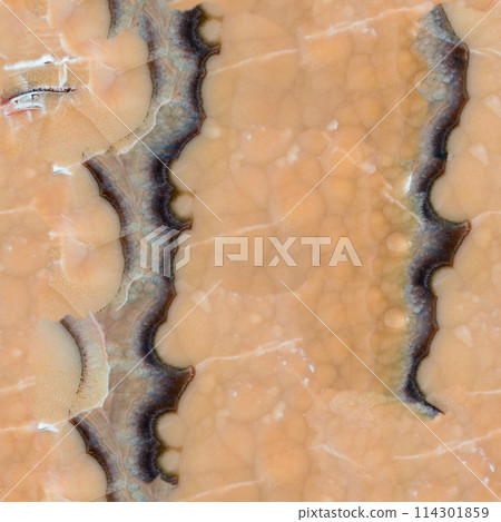 Brown onyx stone slab surface. Seamless square background, tile ready. 114301859