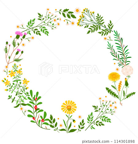 Herbs flat hand drawn cartoon frame 114301898