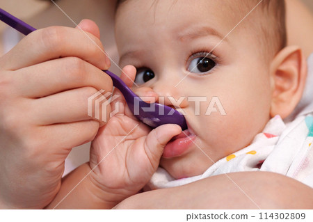 Portrait of little baby boy eating food. Baby with a spoon in feeding chair. Cute baby eating first meal Portrait of little baby boy eating food. Baby with a spoon in feeding chair. Cute baby eating first meal 114302809