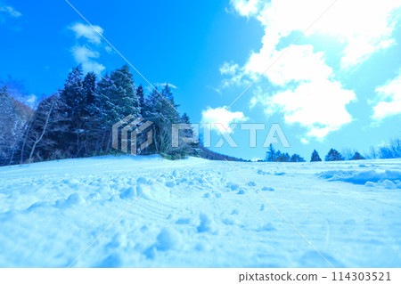 有藍天和新雪的滑雪場 有藍天和新雪的滑雪場 114303521