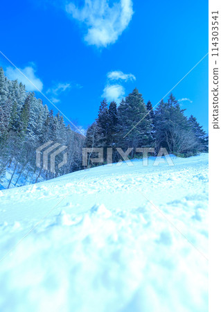 Blue skies and fresh snow on the slopes Blue skies and fresh snow on the slopes 114303541