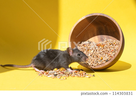 Dad and son in the front seat of a car driving a black car 114303831
