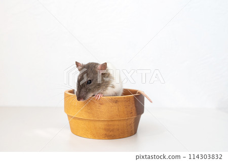 Dad and son in the front seat of a car driving a black car Dad and son in the front seat of a car driving a black car 114303832