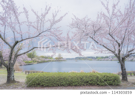 茨城泉湖船場（水戶市） 114303859