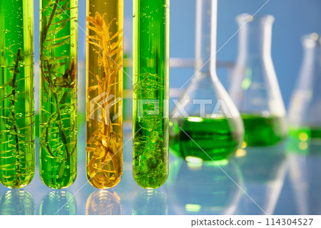 Algae fuel biofuel industry lab researching for alternative to fossil algae fuel or algal biofuel. ZERO CARBON Emission concept. Algae fuel biofuel industry lab researching for alternative to fossil algae fuel or algal biofuel. ZERO CARBON Emission concept. 114304527