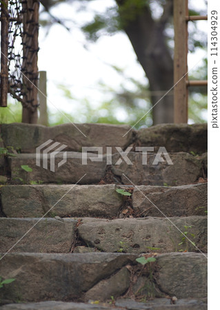 Stone steps Stone steps 114304929