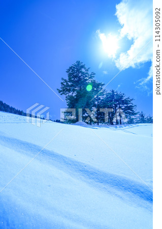 Blue skies and fresh snow on the slopes Blue skies and fresh snow on the slopes 114305092