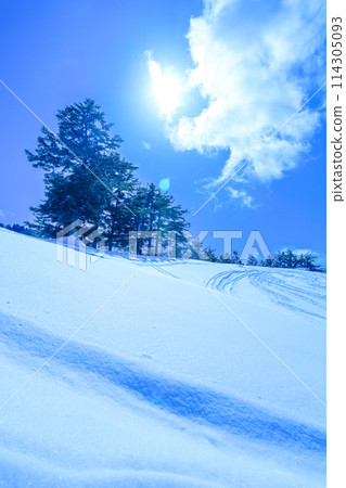 Blue skies and fresh snow on the slopes Blue skies and fresh snow on the slopes 114305093