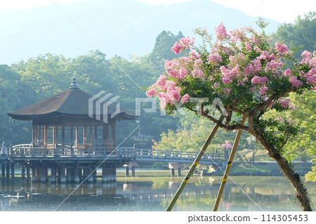 Ukimido Temple in Nara and Crape Myrtle in Full Bloom Ukimido Temple in Nara and Crape Myrtle in Full Bloom 114305453