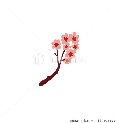 Vector sakura branch for Kabuki decoration on isolated background. 114305454