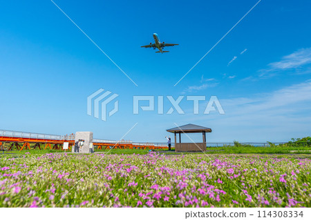 越過苔蘚福祿考看到的飛機,富士山靜岡機場 越過苔蘚福祿考看到的飛機,富士山靜岡機場 114308334