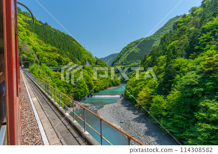 大井川鐵道井川線 車窗外的風景 114308582