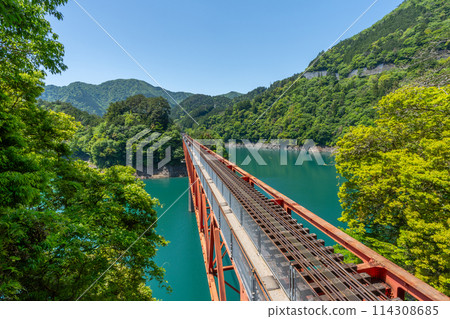 The only Abt-style train in Japan that runs slowly through the valley Igawa Line Breathtaking view from the train window 114308685