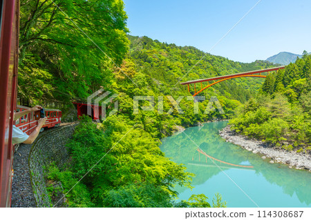 The only Abt-style train in Japan that runs slowly through the valley Igawa Line Breathtaking view from the train window 114308687