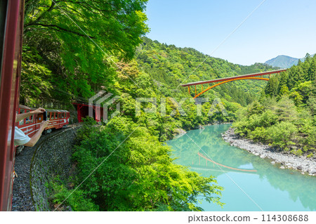 日本唯一一輛緩緩穿過山谷的 Abt 式列車 井川線 從車窗眺望的壯麗景色 日本唯一一輛緩緩穿過山谷的 Abt 式列車 井川線 從車窗眺望的壯麗景色 114308688