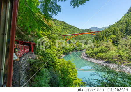 日本唯一一輛緩緩穿過山谷的 Abt 式列車 井川線 從車窗眺望的壯麗景色 日本唯一一輛緩緩穿過山谷的 Abt 式列車 井川線 從車窗眺望的壯麗景色 114308694