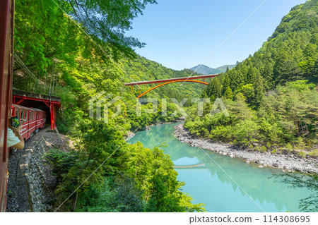 The only Abt-style train in Japan that runs slowly through the valley Igawa Line Breathtaking view from the train window 114308695