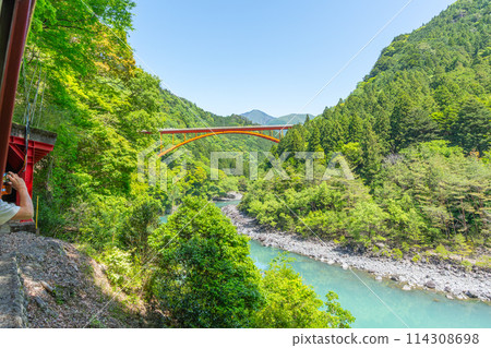 日本唯一一輛緩緩穿過山谷的 Abt 式列車 井川線 從車窗眺望的壯麗景色 114308698