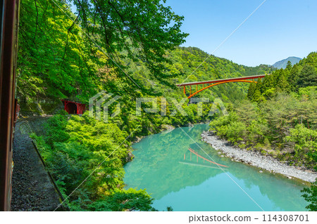 The only Abt-style train in Japan that runs slowly through the valley Igawa Line Breathtaking view from the train window 114308701