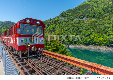 [Shizuoka Prefecture] Ikawa Line train departing from Okuoikojo Station 114308755