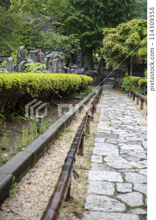 Kamakura 245 Kosakuji Temple 3 114309358