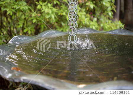 鎌倉245 高長寺4 鎌倉245 高長寺4 114309361