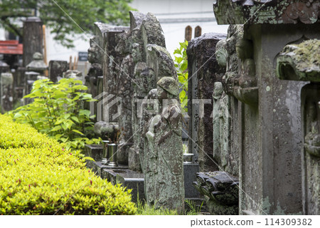 鎌倉 245 高長寺 10 鎌倉 245 高長寺 10 114309382