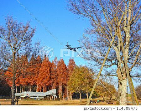 The F4 was on display at Metase Forest Square in Chikujo, Fukuoka Prefecture. 114309473