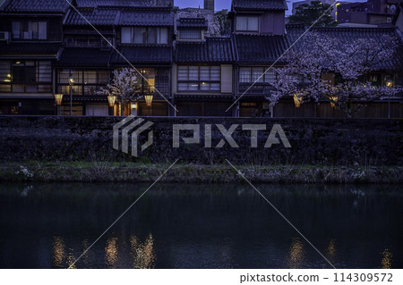櫻花盛開的黃昏和町茶屋街 114309572