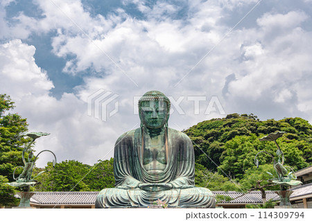 Kamakura Kotokuin Kamakura Great Buddha 114309794