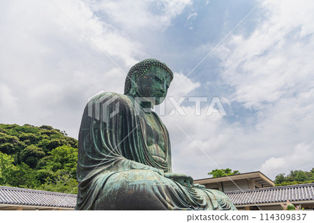 鎌倉幸德院鎌倉大佛 鎌倉幸德院鎌倉大佛 114309837