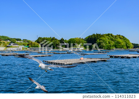 Oshima Cruise, Kesennuma City, Miyagi Prefecture 114311023