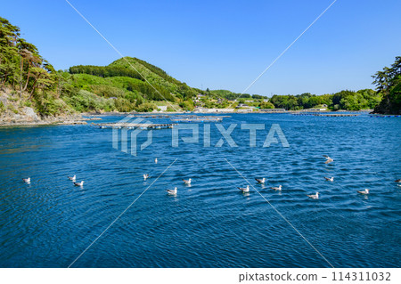 Oshima Cruise, Kesennuma City, Miyagi Prefecture Oshima Cruise, Kesennuma City, Miyagi Prefecture 114311032