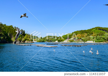 Oshima Cruise, Kesennuma City, Miyagi Prefecture Oshima Cruise, Kesennuma City, Miyagi Prefecture 114311037