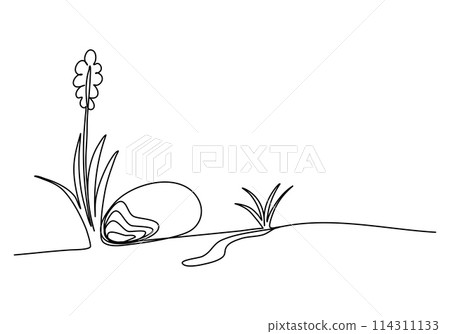 Flower. One line drawing vector illustration. 114311133