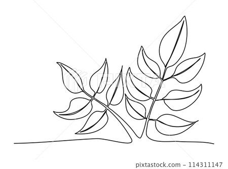Plant, one line drawing vector illustration. Plant, one line drawing vector illustration. 114311147